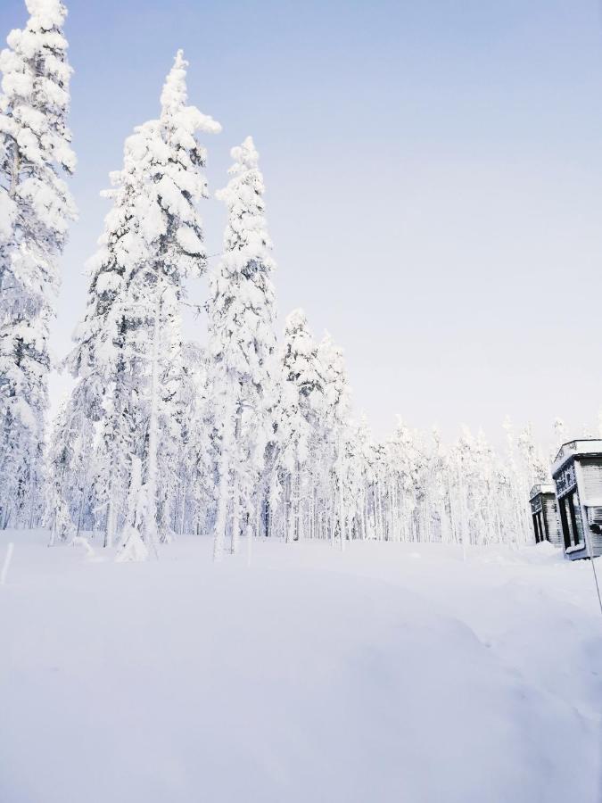 Levi Sky Igloo With Private Sauna And Hot Tub Zewnętrze zdjęcie