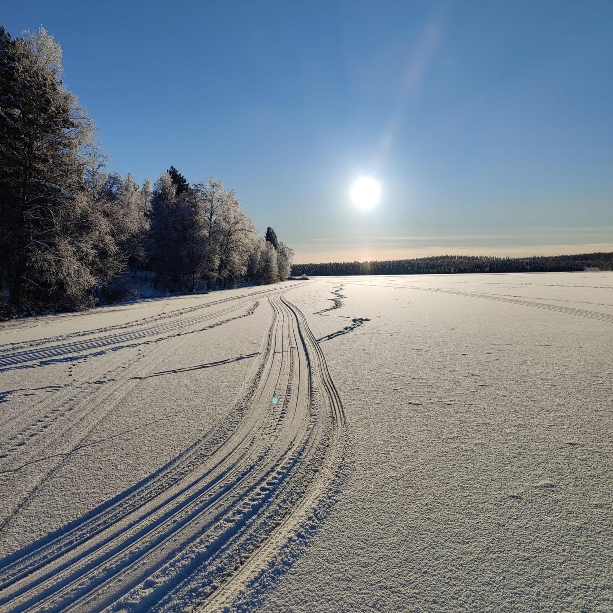 Levi Sky Igloo With Private Sauna And Hot Tub Zewnętrze zdjęcie